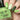 swatch apple green stamping polish