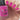 Bright hot pink nails with creme finish
