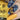 macro nail art blue and yellow