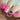 neon pink stamping swatch