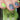 blue and green stamping