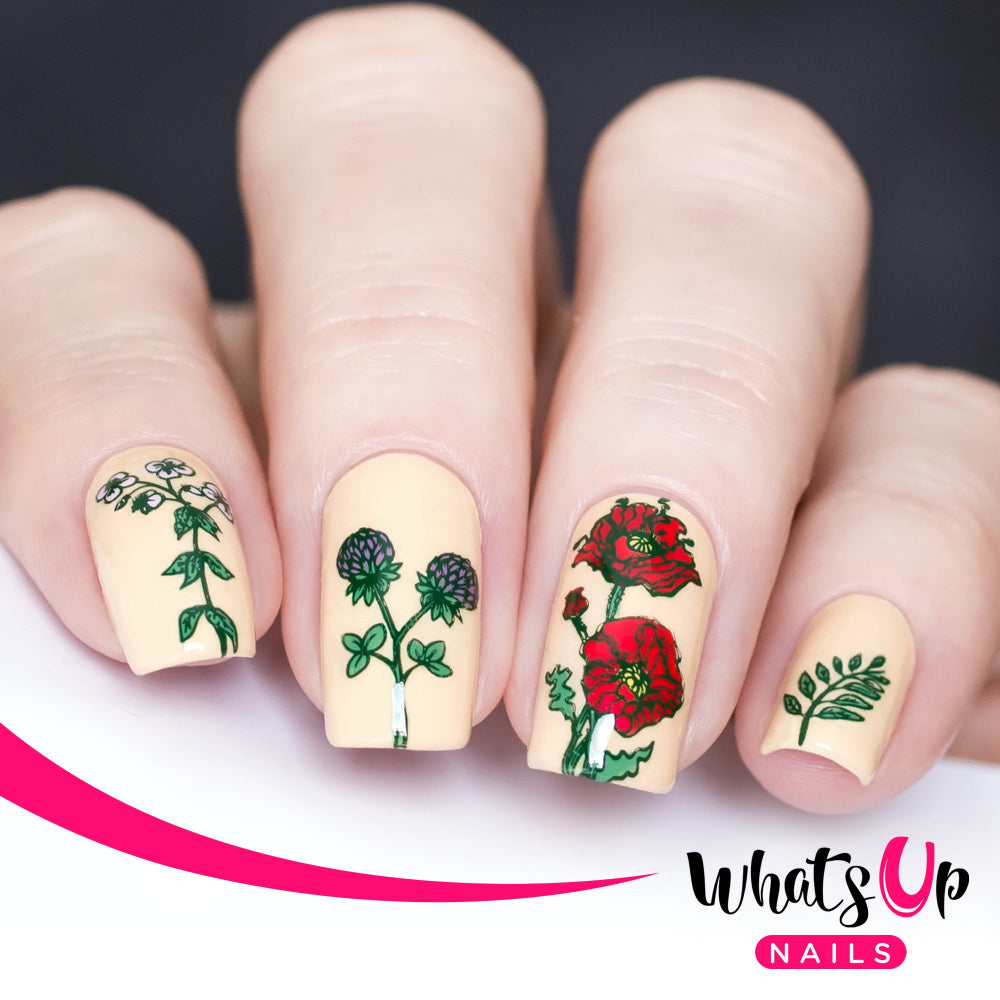 nature nail design