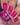 Hand with pink nails holding a bottle of 'Hit the Bottle' nail polish.