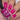 Hand with pink nails holding a bottle of 'Hit the Bottle' nail polish.
