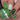 "Green Door" stamping polish NEW!!