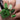 "Green Door" stamping polish NEW!!