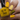 Yellow nail polish bottle with a hand holding a nail with black and yellow design.