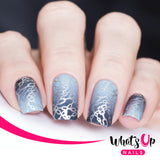 Whats Up Nails - B006 A La Mode stamping plate