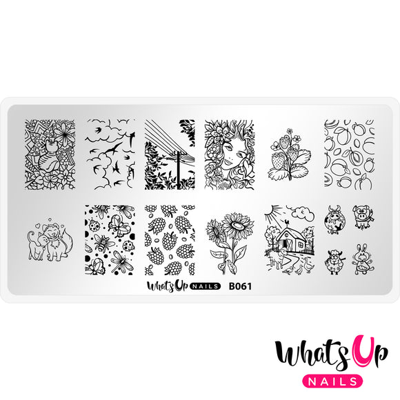 Whats Up Nails - B061 Summer in the Countryside stamping plate