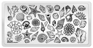 Uber Chic "Seashells Aplenty" - mini plate