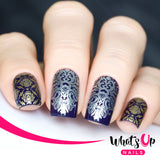 Whats Up Nails - B001 Middle Eastern Vibes stamping plate