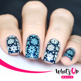 Whats Up Nails - B003 Sweater Weather stamping plate
