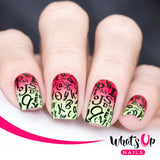 Whats Up Nails - B019 Words of Emotions stamping plate