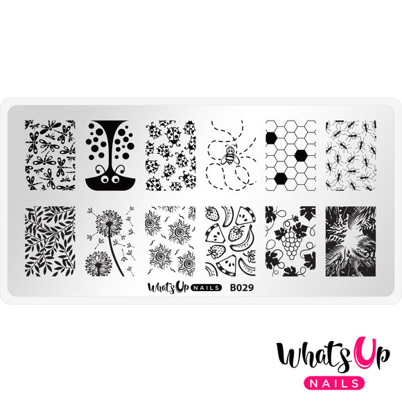 Whats Up Nails - B029 Picnic in the Park stamping plate