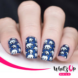 Whats Up Nails - B035 Icy Wonderland stamping plate
