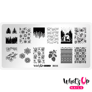 Whats Up Nails - B035 Icy Wonderland stamping plate