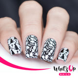 Whats Up Nails - B036 - Eeks and Screams stamping plate