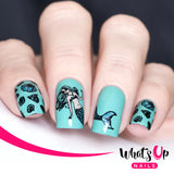 Whats Up Nails - B038 Lost at Sea stamping plate