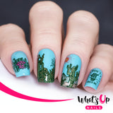 Whats Up Nails - B060 Deserted Succulent stamping plate
