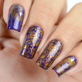Whats Up Nails - B068 Totally Spaced Out stamping plate