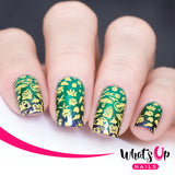 Whats Up Nails - B070 Campfire Stories stamping plate